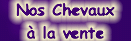 Chevaux d'endurance &agrave; vendre