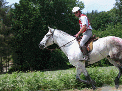 Animation Gif Elshagar al shatane et Pierre Ollivier