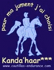 Kanda'haar***, l'&eacute;talon arabe oriental performer Endurance, IRE143, de 120 &agrave; 160km toujours class&eacute; TOP TEN,  Cliquez ici !