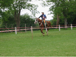 Farhoz de paute et C&eacute;line Schwartz . (animation Gif , chargement en cours)