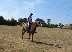 Animation Gif , l'arriv&eacute;e de Fils de Mathious