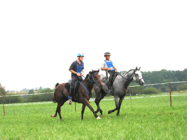 Arriv&eacute;e des 11&egrave;mes Vincent Dupont et Pierre Souchard, Animation Gif