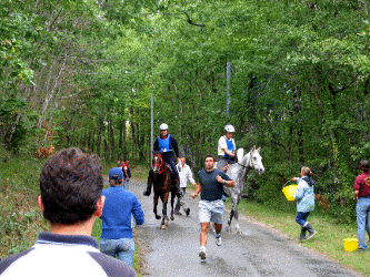 Animation Gif, oh la belle foul&eacute;e !!