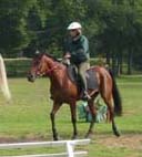 Bor&eacute;a de ghazal***