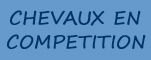 Nos chevaux en comp�tition Competition horses