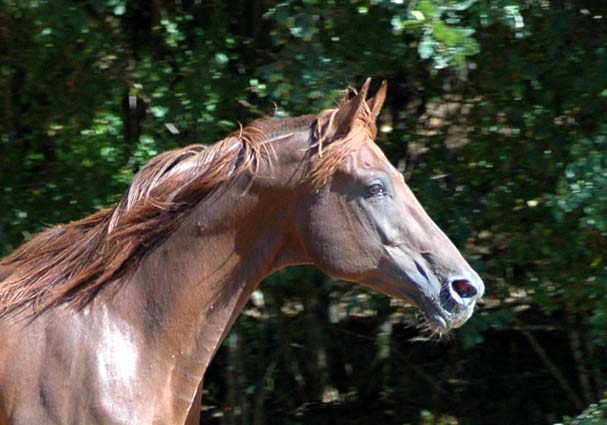 Kanda'haar*** &eacute;t&eacute; 2005