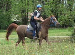 Qoum du coutillas (Kanda'haar***et Thichka / Darif*) Hongre Arabe  class&eacute; sur 2 90km Cliquez ici !