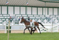 Controle initial S&eacute;ria et Pierre Henri Beillard